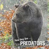 How they live... Predators - David Withrington, Ivan Esenko