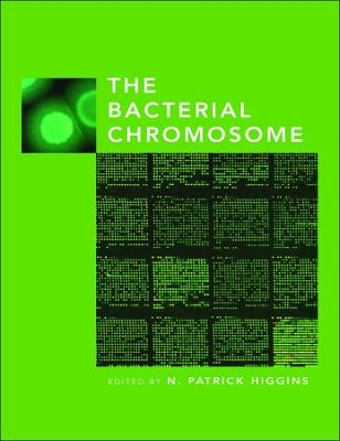 The Bacterial Chromosome - NP Higgins