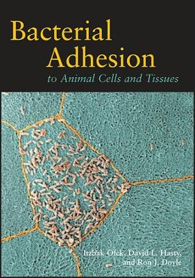 Bacterial Adhesion to Animal Cells and Tissues -  Ofek