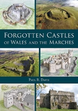 Forgotten Castles of Wales and the Marches - Davis, Paul R.