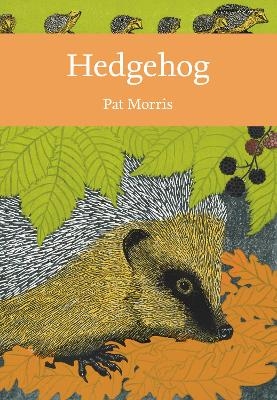 Hedgehog - Pat Morris