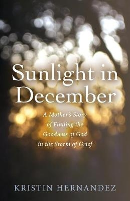 Sunlight in December - Kristin Hernandez