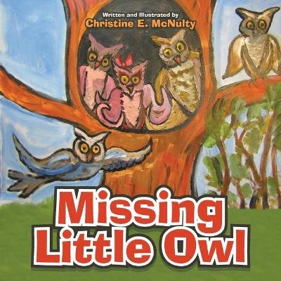 Missing Little Owl - Christine E McNulty