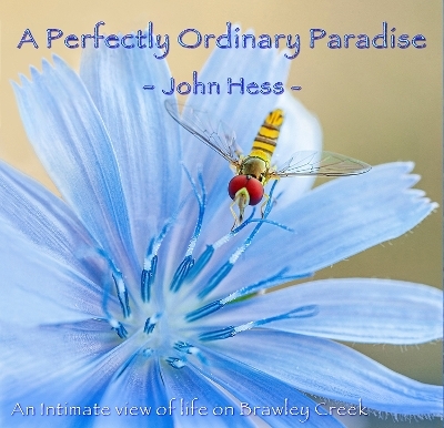 A Perfectly Ordinary Paradise - John Hess