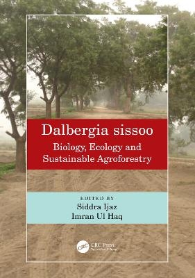 Dalbergia sissoo - 