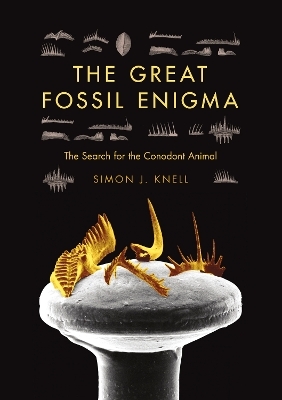 The Great Fossil Enigma - Simon J. Knell