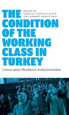 The Condition of the Working Class in Turkey - 