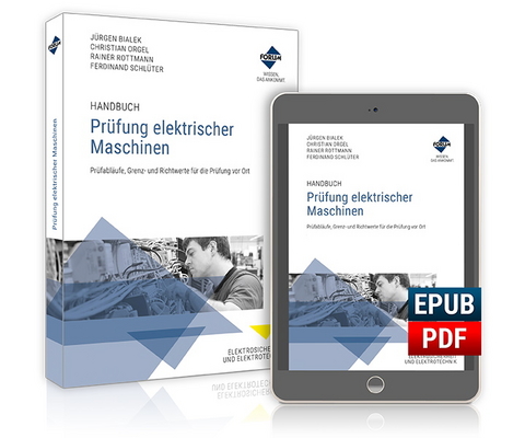 Handbuch Prüfung elektrischer Maschinen - Ferdinand Schlüter