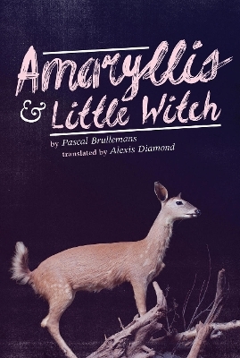 Amaryllis & Little Witch - Pascal Brullemans