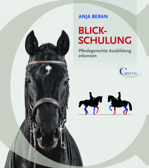 Blickschulung - Anja Beran