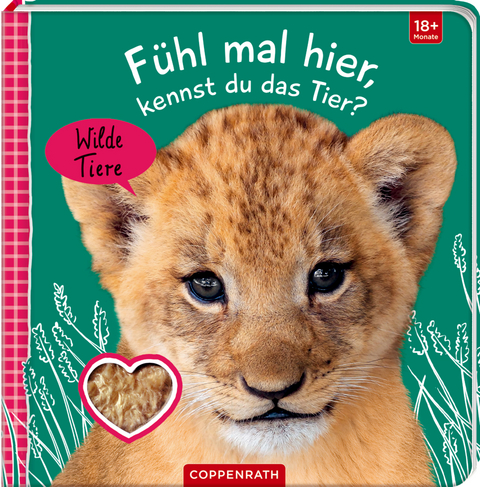 Fühl mal hier, kennst du das Tier? Wilde Tiere