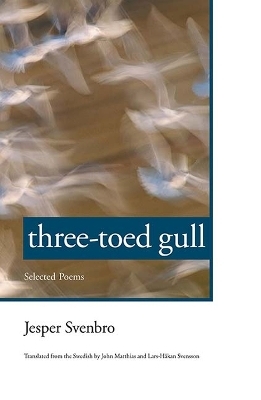 Three-toed Gull - Jesper Svenbro