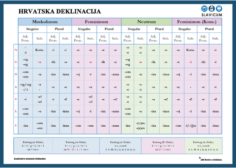 Hrvatska deklinacija - Irena Damian