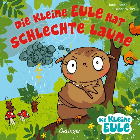 Die kleine Eule hat schlechte Laune - Susanne Weber