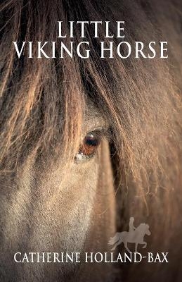 Little Viking Horse - Catherine Holland-Bax