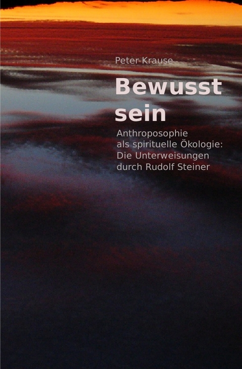 Bewusst sein - Peter Krause