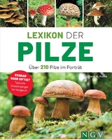 Lexikon der Pilze - Über 210 Pilze im Porträt - Hans W. Kothe