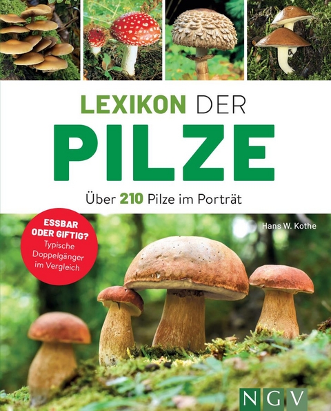 Lexikon der Pilze - Über 210 Pilze im Porträt - Hans W. Kothe