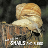 How they live... Snails and Slugs -  Ivan Esenko,  David Withrington