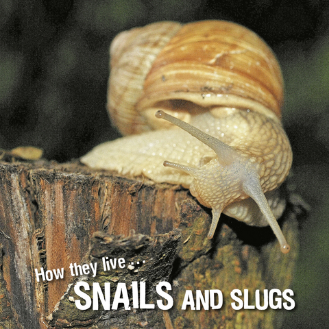 How they live... Snails and Slugs -  Ivan Esenko,  David Withrington