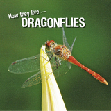 How they live... Dragonflies - Ivan Esenko, David Withrington