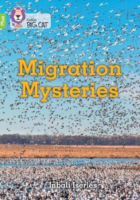 Migration Mysteries - Inbali Iserles