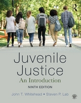 Juvenile Justice - Whitehead, John T.; Lab, Steven P.