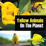 Yellow Animals On The Planet -  Baby Professor