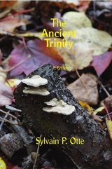 Ancient Trinity -  Sylvain de Ville-Amois