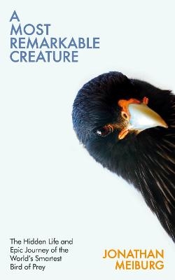 A Most Remarkable Creature - Jonathan Meiburg