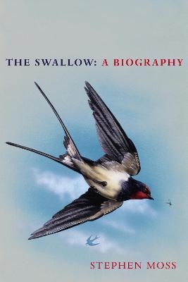 The Swallow - Stephen Moss