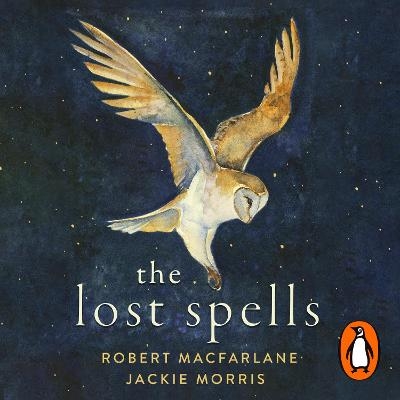 The Lost Spells - Robert Macfarlane, Jackie Morris