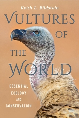 Vultures of the World - Keith L. Bildstein