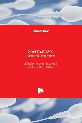 Spermatozoa - 