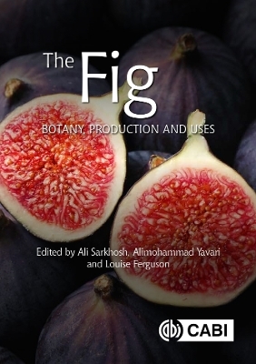 The Fig - 