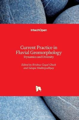 Current Practice in Fluvial Geomorphology - 