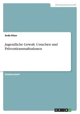 Jugendliche Gewalt. Ursachen und PrÃ¤ventionsmaÃnahmen - Seda KÃ¶se