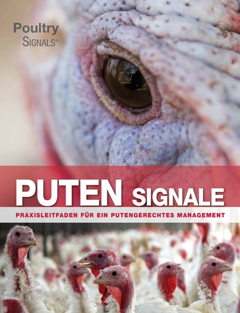 Putensignale - Edward Mailyan