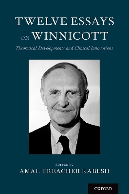 Twelve Essays on Winnicott - 