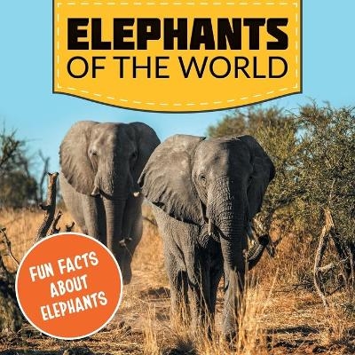 Elephants of the World -  Baby Professor