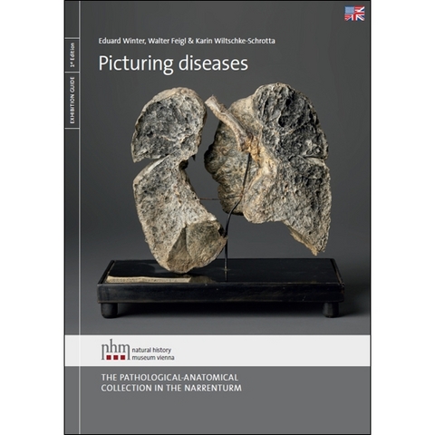 Picturing Diseases - Eduard Winter, Walter Feigl, Karin Wiltschke-Schrotta