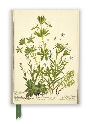 RBGE: Charlotte Cowan Pearson: Stitchworts, Woodruff and Pepperwort (Foiled Journal) - 