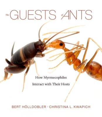 The Guests of Ants - Bert Hölldobler, Christina L. Kwapich