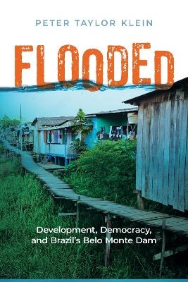 Flooded - Peter Taylor Klein