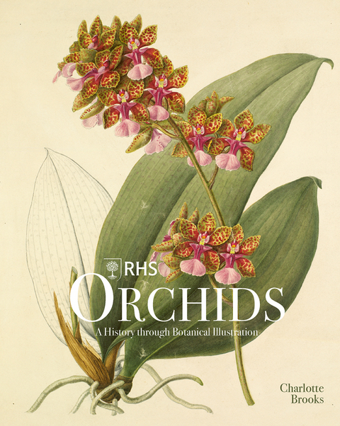 RHS Orchids - Charlotte Brooks