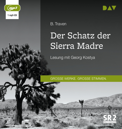 Der Schatz der Sierra Madre - B. Traven