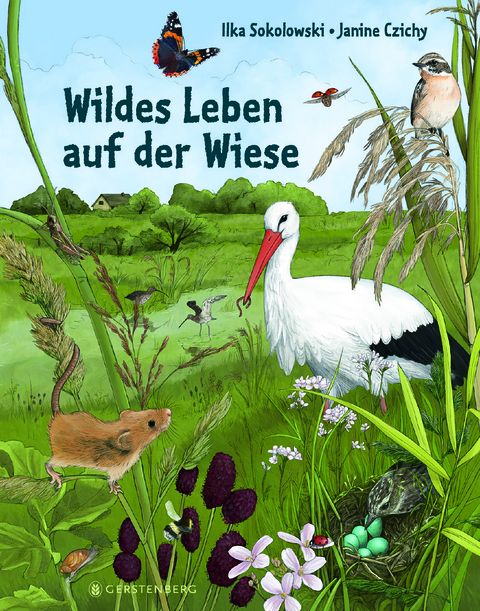 Wildes Leben auf der Wiese - Ilka Sokolowski