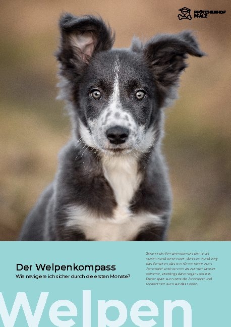 Der Welpenkompass - Miri Styppa