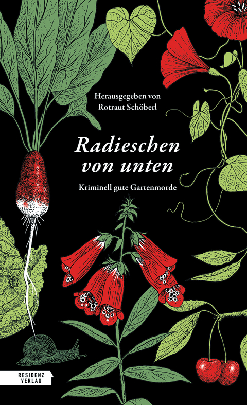 Radieschen von unten - 