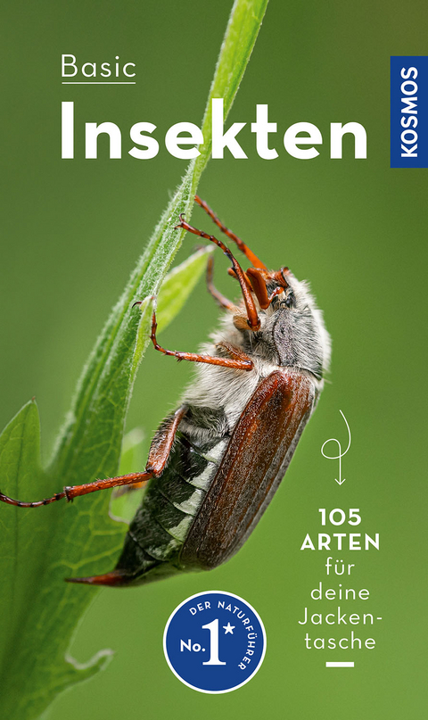 BASIC Insekten - Roland Gerstmeier